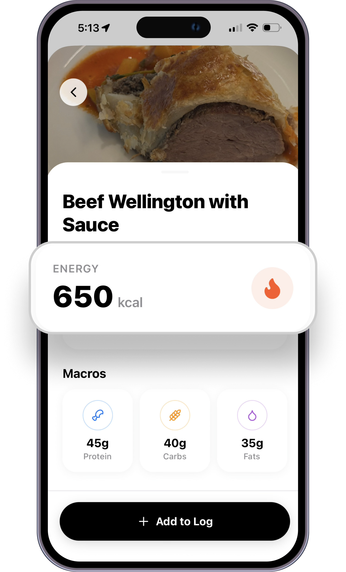 FitverseHub AI Food Tracking