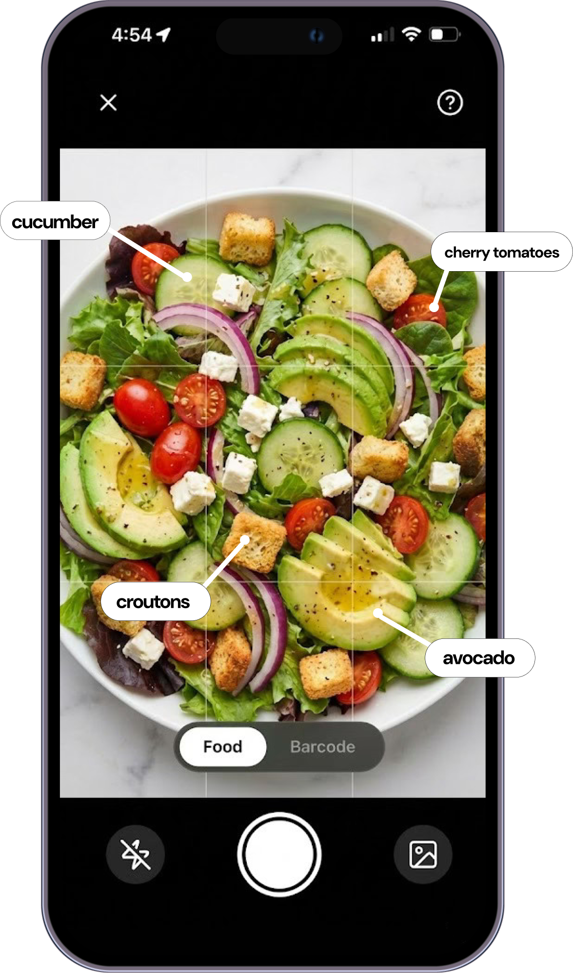 Food Scan